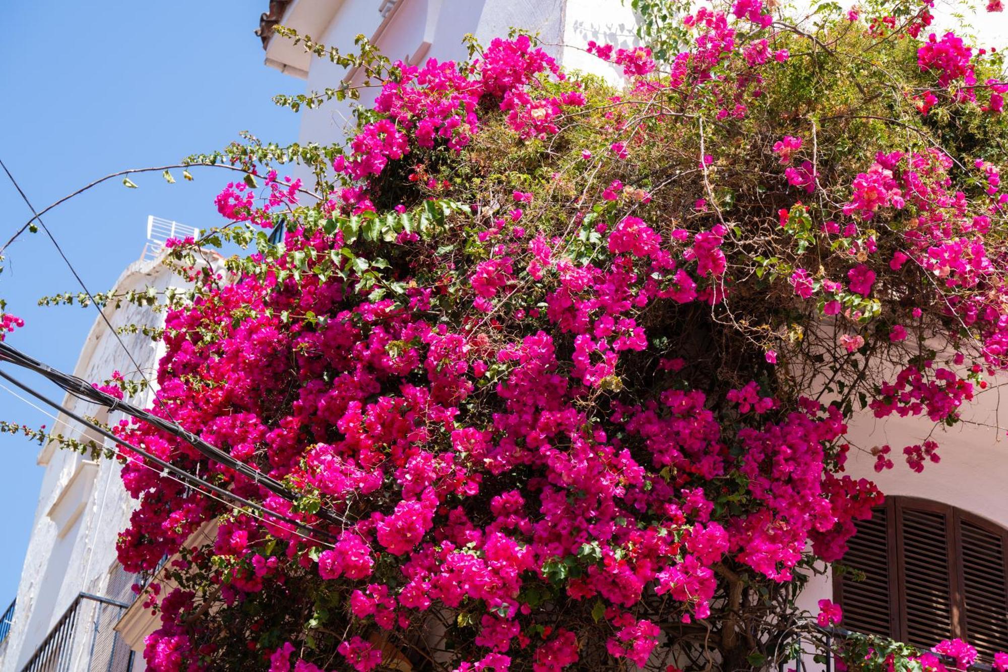 Jardines Del Mar 527 Lägenhet Marbella Exteriör bild