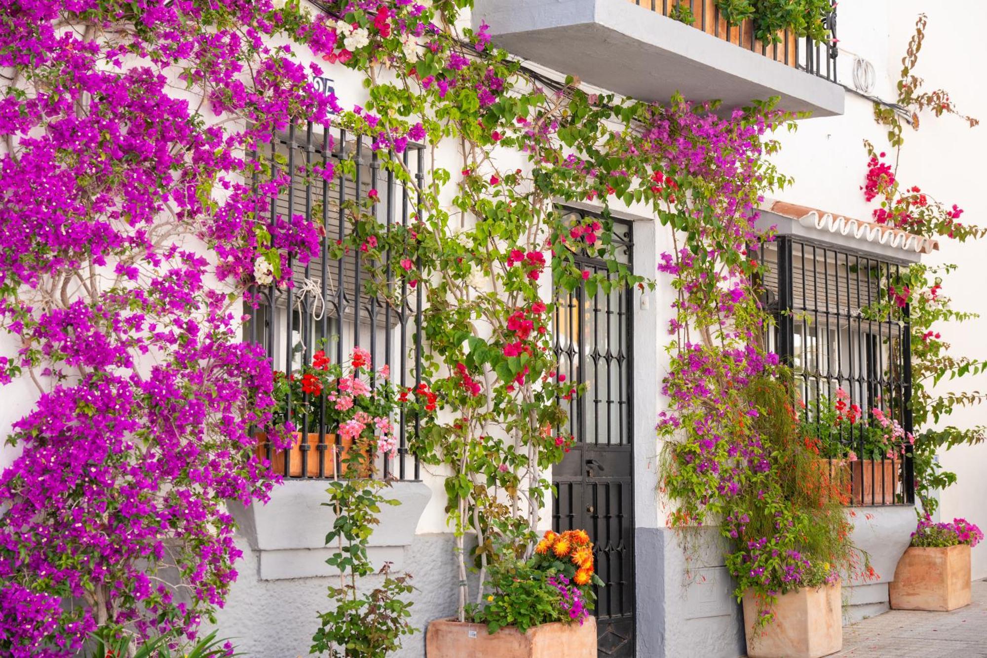 Jardines Del Mar 527 Lägenhet Marbella Exteriör bild